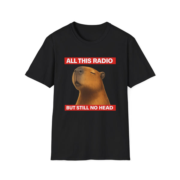 All this radio but still no head T-Shirt