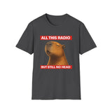 All this radio but still no head T-Shirt
